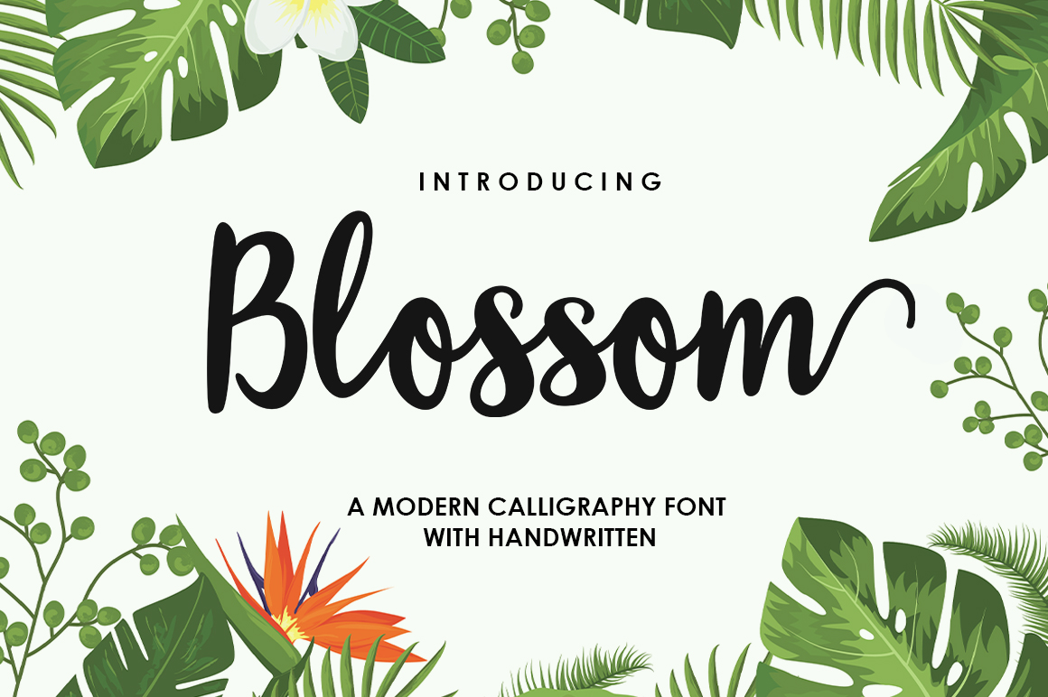 Blossom Script Font: A Modern Typeface for Digital Design