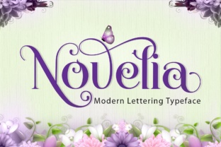 Elevate Editorial Design with the Novelia Typeface
