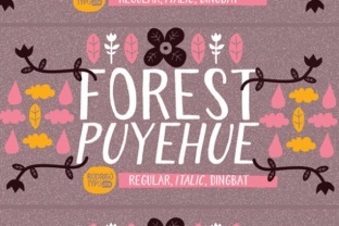 Forest Puyehue Font for Creative Branding