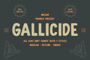 Gallicide: A Vintage Display Typeface for Modern Editorial Design