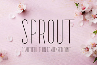 Sprout Font: Free Download & Design Tips